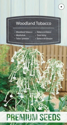 Narsissitupakka 'Woodland Tobacco' - siemenet #