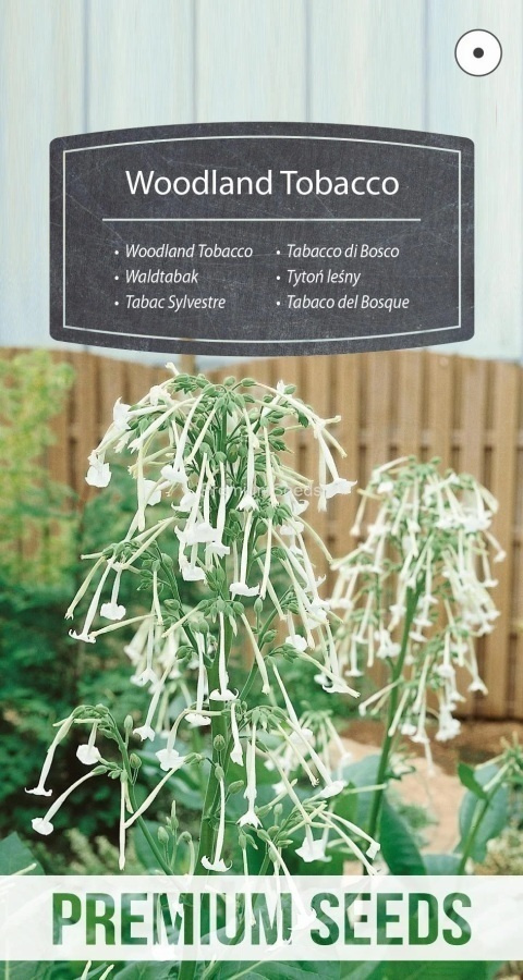 Narsissitupakka 'Woodland Tobacco' - siemenet #