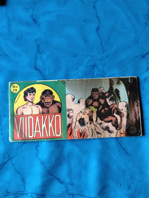 viidakko 1vsk