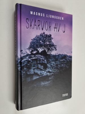 Magnus Ljunggren : Skärvor av J
