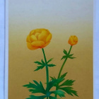 "KULLERO"-KULKEMATON POSTIKORTTI 1992 - pikkukuva 1