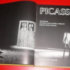 Domenico Porzio ja Marco Valsecchi : Picasso 1975 1.p. - pikkukuva 1