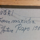 Pauli Antero Rapo "Turun saaristoa" - pikkukuva 4