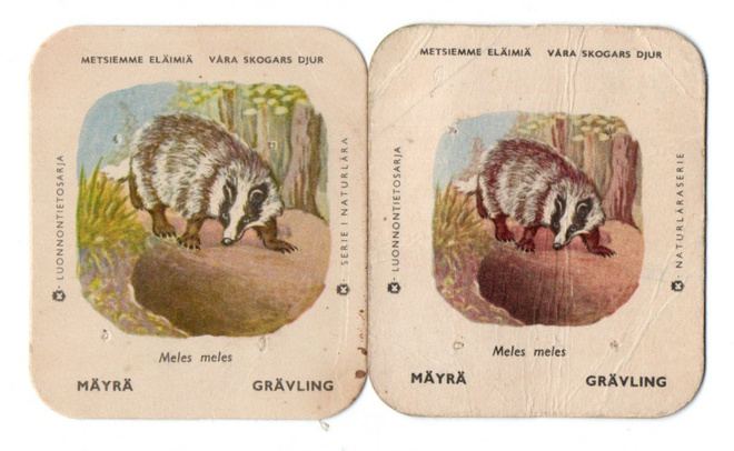 Kahvilaput MÄYRÄ Iso ja Pieni kuvakoko