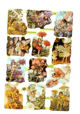 KIILTOKUVA °°KUKKAISKEIJUT°° / MLP (Flower Fairies)