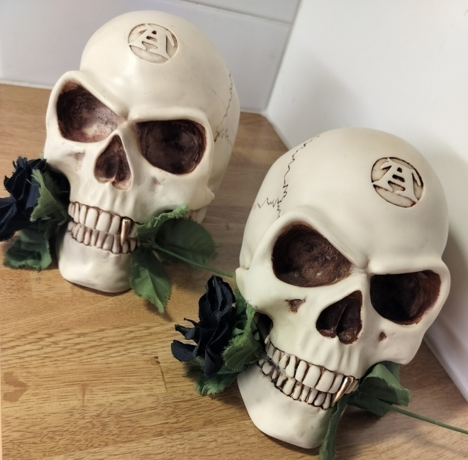 2 kpl Alchemy Gothic, UK -pääkalloja LUONNOLLISESSA KOOSSA!!