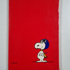 Charles M. Schulz : Ressu ja Punainen paroni - pikkukuva 2