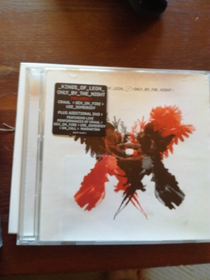 Kings of leon only by the night