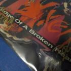 VIXEN - EDGE OF A BROKEN HEART KUVALEVY NIMMAREILLA - pikkukuva 3