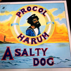 Procol Harum – A Whiter Shade Of Pale / A Salty Dog - pikkukuva 2