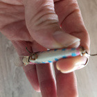 Rapala Finland vaappu - pikkukuva 2
