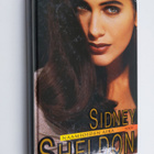 Sidney Sheldon : Naamioiden aika - pikkukuva 1