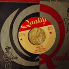 Jerry Lee Lewis sinkku - pikkukuva 2