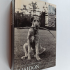 Elliott Erwitt : Dog Dogs - pikkukuva 1