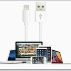Valkoinen iPad / iPhone 8pin USB A - Lightning-kaapeli / 1m - pikkukuva 2