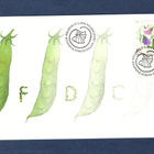 FDC Hajuherne....Helsinki 27.2.2008 - pikkukuva 1