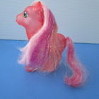 My Little Pony G3, Secret Wish - pikkukuva 3