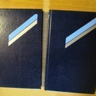 Arto Paasilinnan tuotantoa - pikkukuva 2