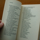 Lawrence Ferlinghetti - Nämä ovat minun virtani, runoja - pikkukuva 3