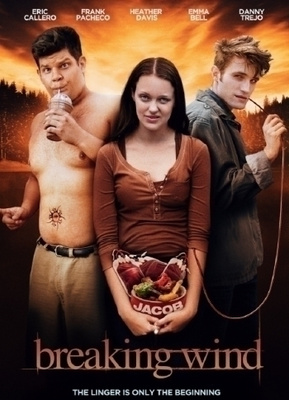 Breaking Wind - DVD