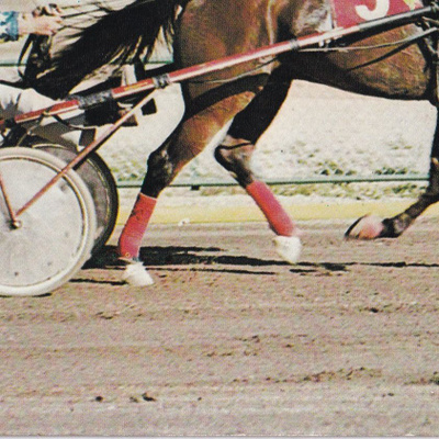 Scotty Love / Pertti Livisti, e296