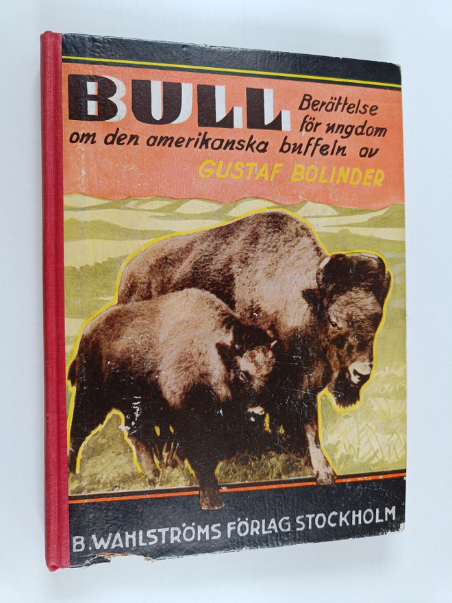 Gustaf Bolinder : Bull : den amerikanska buffeln : berätt...
