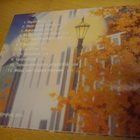 METROFOLK: Metrofolk CD (2011) Sis.postikulut - pikkukuva 2