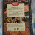 Natural killers – Afrikan isot kissat, DVD, sis. pk - pikkukuva 2