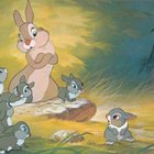 Disney-kortti - pikkukuva 1