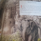 Senani Ponnamperuma: The Story of Sigiriya - pikkukuva 2