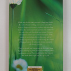 Neale Donald Walsch : What God Wants - A Compelling Answe... - pikkukuva 2