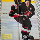 Teemu Selänne Mighty Ducks of Anaheim -juliste - pikkukuva 2