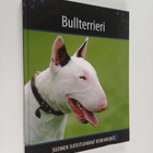 Bullterrieri - pikkukuva 1