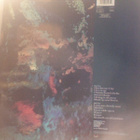 HOTHOUSE FLOWERS  ::  HOME  ::  VINYYLI  LP    1990 - pikkukuva 2