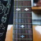 Gibson Epiphone PR350-12E 12-String Acoustic Electric Guitar - pikkukuva 3