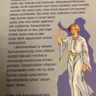 KAUNO MANNONEN: UUDEN AJAN KALEVALA-AVAIN - pikkukuva 2