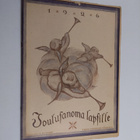 Joulusanoma lapsille 1926 - pikkukuva 1