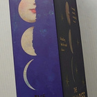 Eleanor Catton - The Luminaries - pikkukuva 2