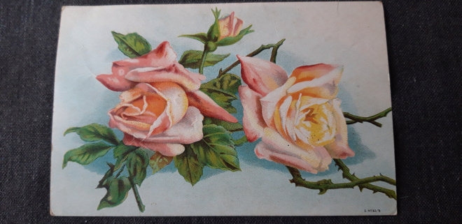 Vanha kukkakortti n. 1920 luku, S no 30/9