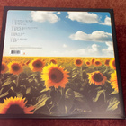 TEARS FOR FEARS - SONGS FOR A NERVOUS PLANET - 2LP - pikkukuva 2
