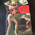 Forgotten Gialli Volume 6 LE Blu-ray | US | 1968-1978 - pikkukuva 4