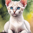Kissa-kortti - pikkukuva 1