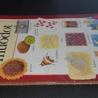 Kate Gorman : Vastakohdat/Muodot/Värit/Numerot - pikkukuva 1