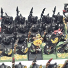 WHFB - Battle for Skull Pass figuurit + maastot [F87] - pikkukuva 4