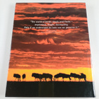 Fascination of Large Numbers : Herds, Swarms and Flocks - pikkukuva 2