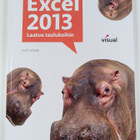 Outi Lammi : Excel 2013 : laatua taulukoihin - pikkukuva 1