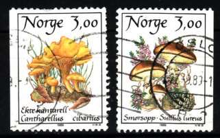 NORJA,  1989 Fa 1052-53, Ruokasienet,