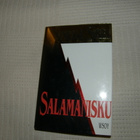 Danielle Steel Salamanisku  -sid - pikkukuva 1