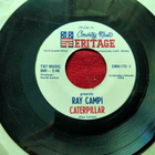 Ray Campi sinkku - pikkukuva 2