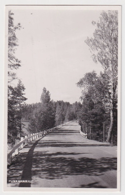 Punkaharju